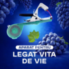 APARAT PENTRU LEGAT VITA DE VIE